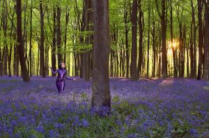 Gothic Image Gallery Selection: 2003-2007